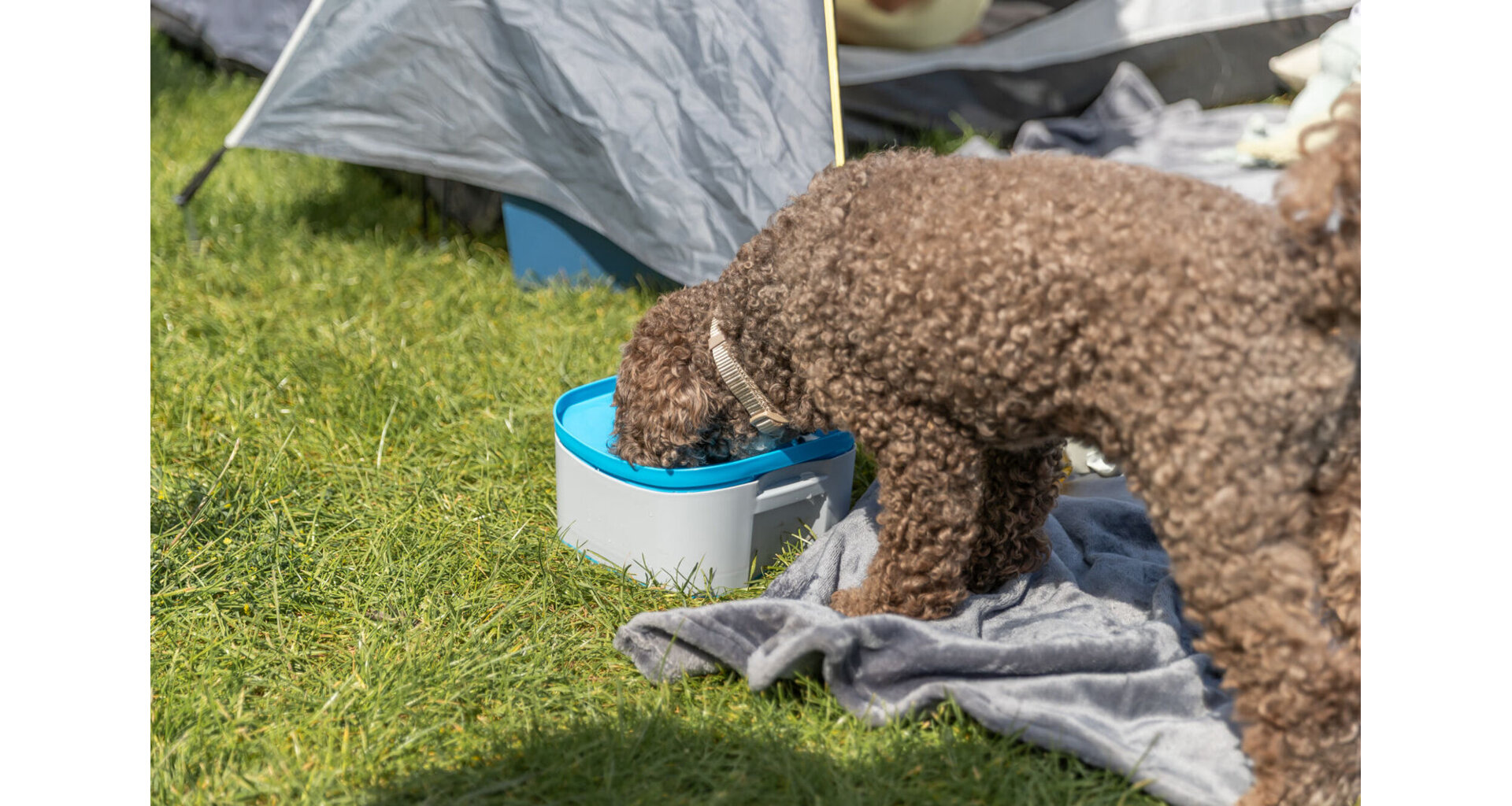 Cestovní miska s dávkovačem vody 07